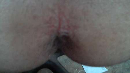 recherche domis avec chien male