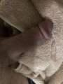 Recherche Dame Âgée