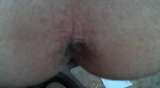 chienne male cherche un mac pour mise au taf