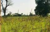 Terrain agricole de 1,02 hectare  Thinaba