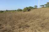 Terrain agricole de 9 m  Taiba Ndiaye