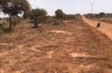 Terrain agricole de 1,80 hectare  Taiba Ndiaye