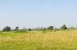 Terrain agricole de 9 m  Sessene