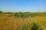 Terrain agricole de 20 ha vers Tassette