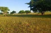 Verger agricole 47,35 ha vers Tassette