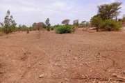 Terrain agricole de 6840 m² Notto Diobass