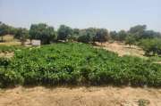 Terrain agricole de 2 ha vers Tassette