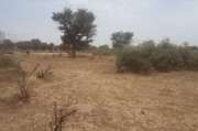 Terrain agricole de 1,03 ha vers Tassette