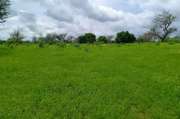 Terrain agricole 8579 m² vers Notto Diobass