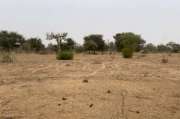 Terrain agricole de 1,37 ha vers Notto Diobass