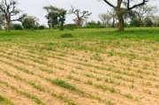 Terrain agricole de 1,79 ha vers Tassette