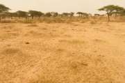 Terrain agricole de 3 ha vers Diama