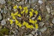 Rencontre locale, simple, discr�te.