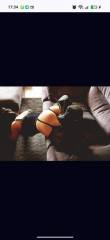 Massage nuru hot plaisir