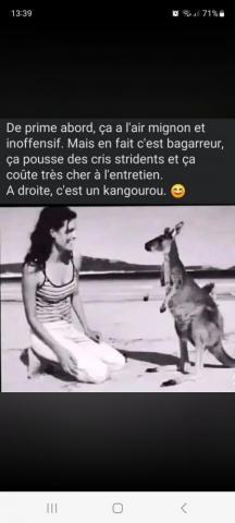 BDSM et libertinage.