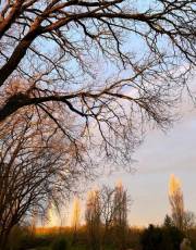 Recherche femme pour relation discr�te et suivie.