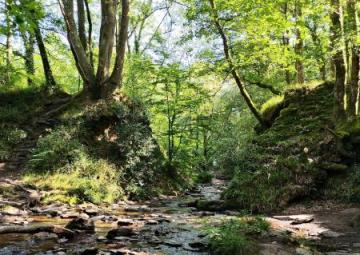 Recherche lieux de drague