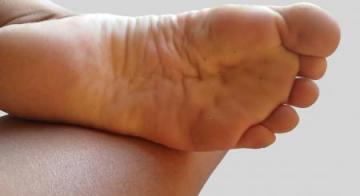 Petit pieds a croquer