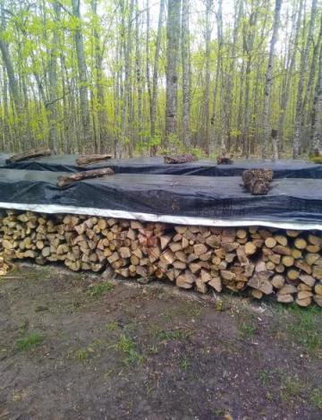 PARTICULIER VENDS BOIS DE CHAUFFAGE