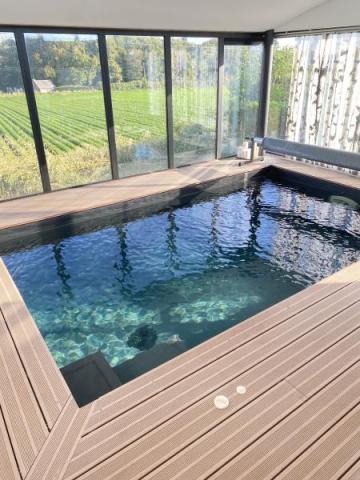 Re�ois femme mature dans belle maison avec piscine