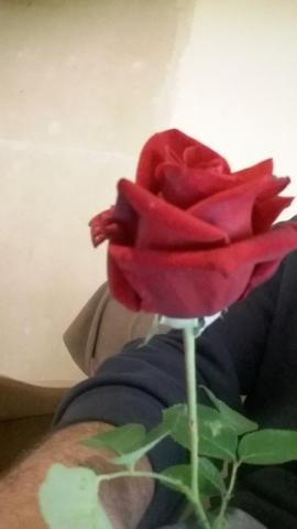 Recherche rencontre suivies ou �ph�m�re