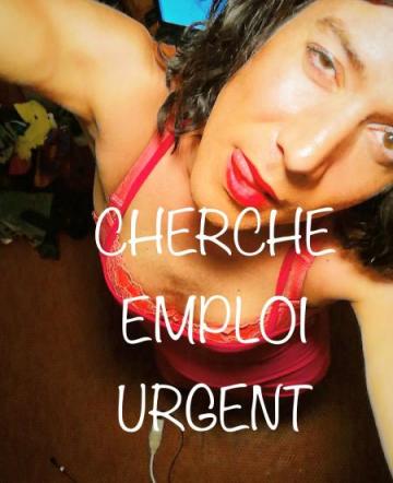 Assidue et professionnelle RECHERCHE EMPLOI URGENT