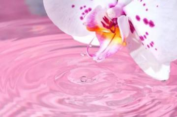 �chapp�e sensorielle~Massage haut de gamme~