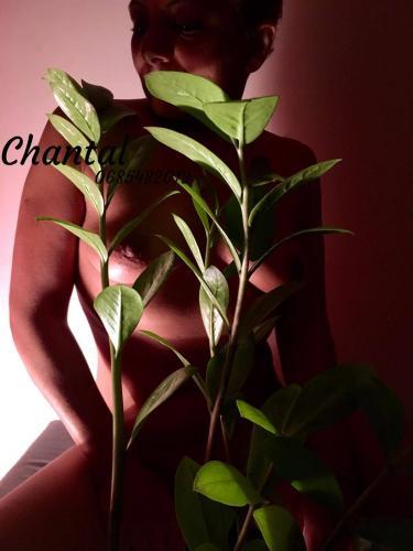 Escort a Melun, 39
