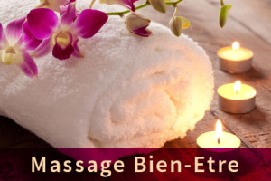 Destination Massage Masseur Pro